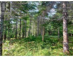 Lot 5 Hill St, French Cove, NS B0E3B0 Photo 10