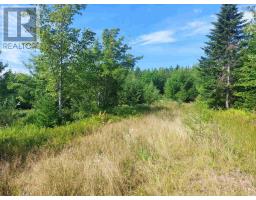 Lot 5 Hill St, French Cove, NS B0E3B0 Photo 6