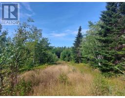 Lot 5 Hill St, French Cove, NS B0E3B0 Photo 11