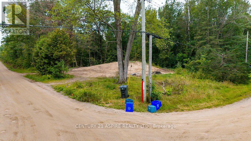 201 Sand Point Road, Whitewater Region, Ontario, K8A6W2, Whitewater Region, Ontario — photo 4 of 5