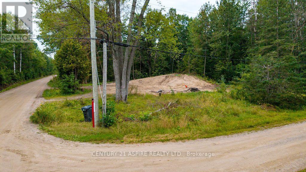 201 Sand Point Road, Whitewater Region, Ontario, K8A6W2, Whitewater Region, Ontario — photo 5 of 5
