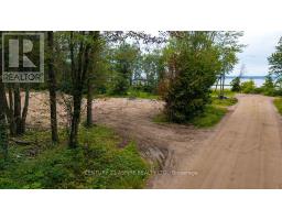 201 Sand Point Road, Whitewater Region, ON K8A6W2 Photo 6