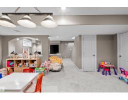 10656 181 Av Nw, Edmonton, AB T5X6G4 Photo 51