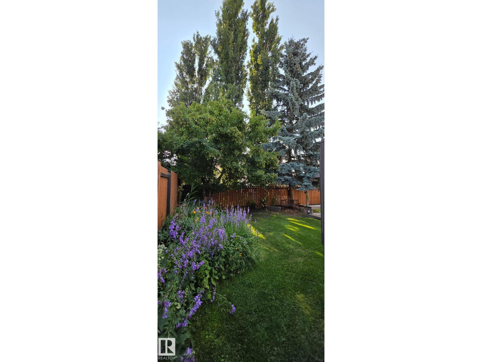 Photo 67
