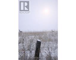 000 Germanicus Road, North Algona Wilberforce, ON K0J1T0 Photo 12