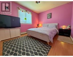 113 Philpott Street, Port Hawkesbury, NS B9A2H1 Photo 33