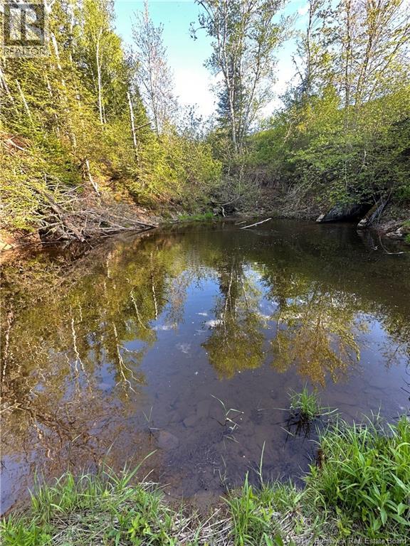 Highfield Road, Pearsonville, New Brunswick, E5P1T2, Pearsonville, New Brunswick — photo 2 of 5