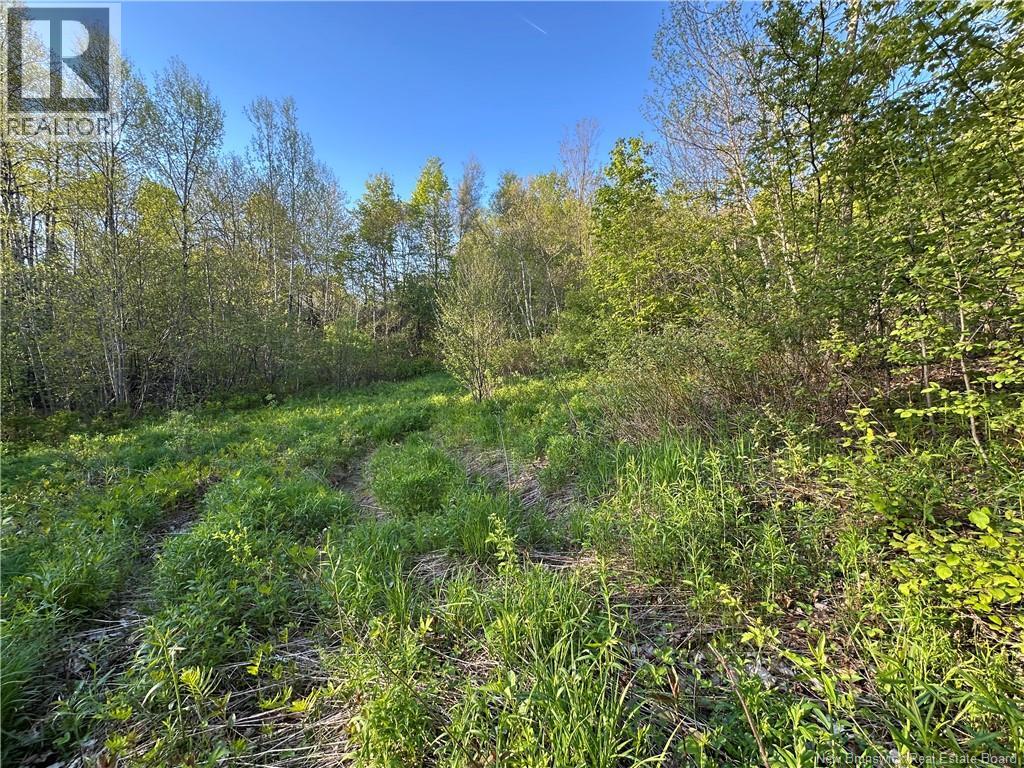 Highfield Road, Pearsonville, New Brunswick, E5P1T2, Pearsonville, New Brunswick — photo 3 of 5