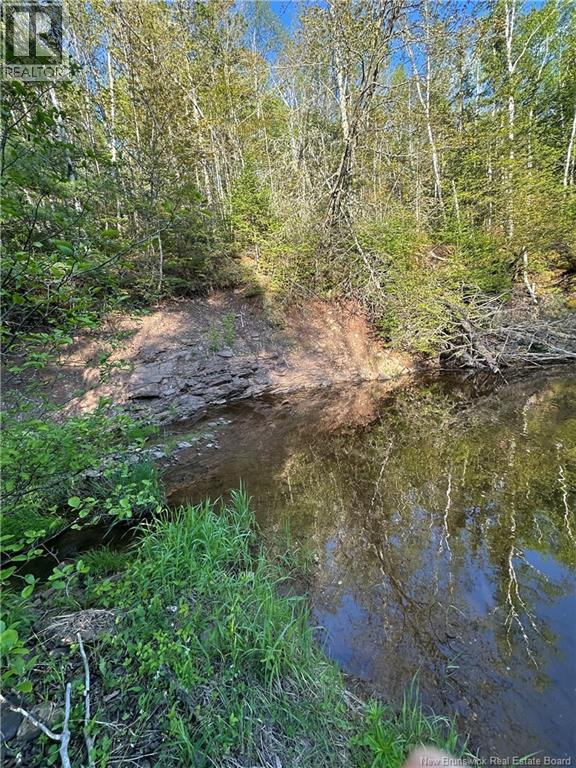 Highfield Road, Pearsonville, New Brunswick, E5P1T2, Pearsonville, New Brunswick — photo 4 of 5