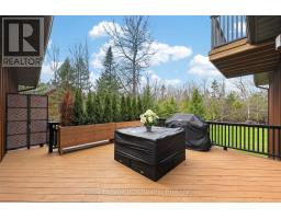 53 Broadview Street, Collingwood, ON L9Y0X2 Photo 47