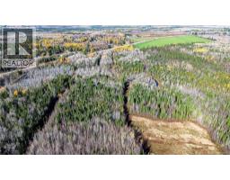 Lot Homestead Road, Salisbury, NB O0O0O0 Photo 11