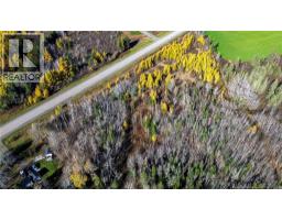 Lot Homestead Road, Salisbury, NB O0O0O0 Photo 17
