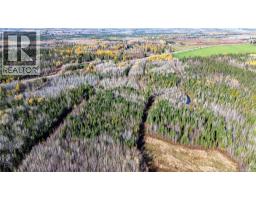 Lot Homestead Road, Salisbury, NB O0O0O0 Photo 8