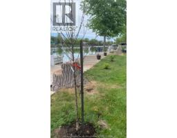 19085 Blue Water Avenue, Lakeshore, ON N0P2L0 Photo 32