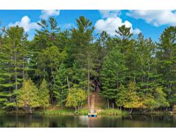 129 Av. Patry-du-lac-edja S., Bouchette, QC J0X1E0 Photo 23