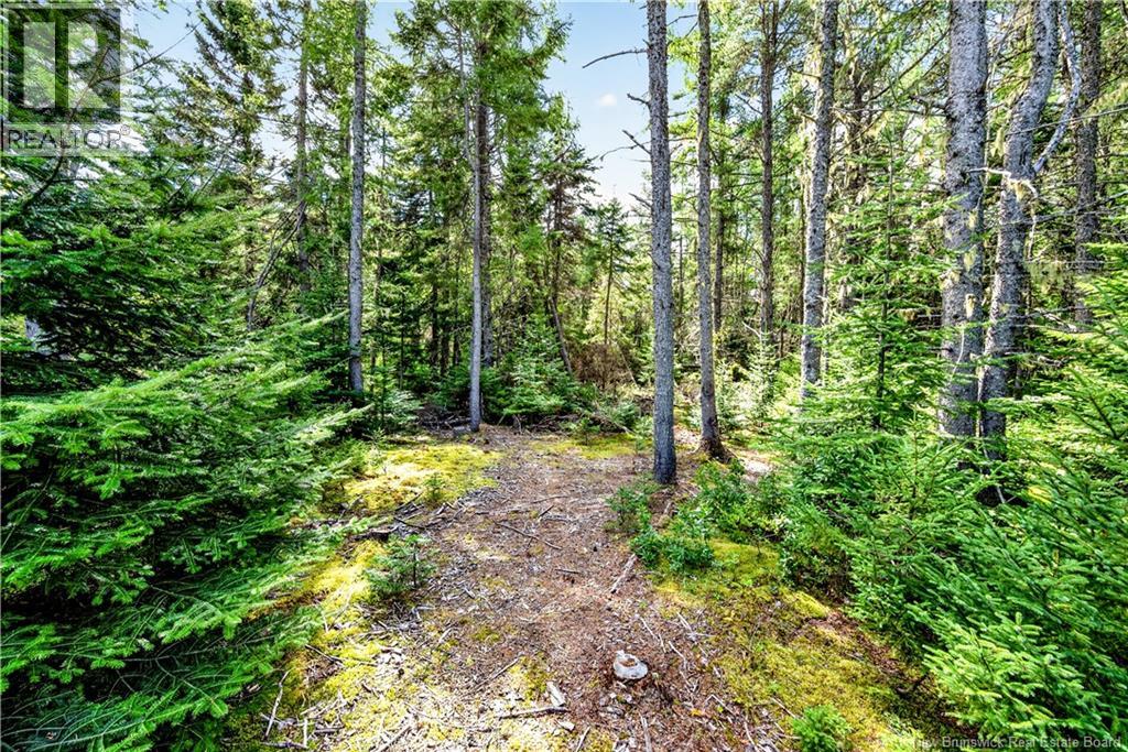 175 Daigle Road - 28