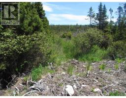 Lot R3 Three Fathom Harbour Road, Three Fathom Harbour, NS B0J1N0 Photo 12