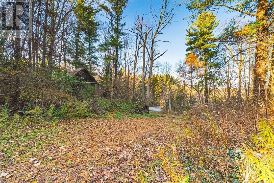 1296 Mineral Springs Road, Hamilton, Ontario, L9H5E3, Hamilton, Ontario — photo 4 of 5