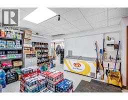 215 Grand River Avenue, Brantford, ON N3T4Y3 Photo 20