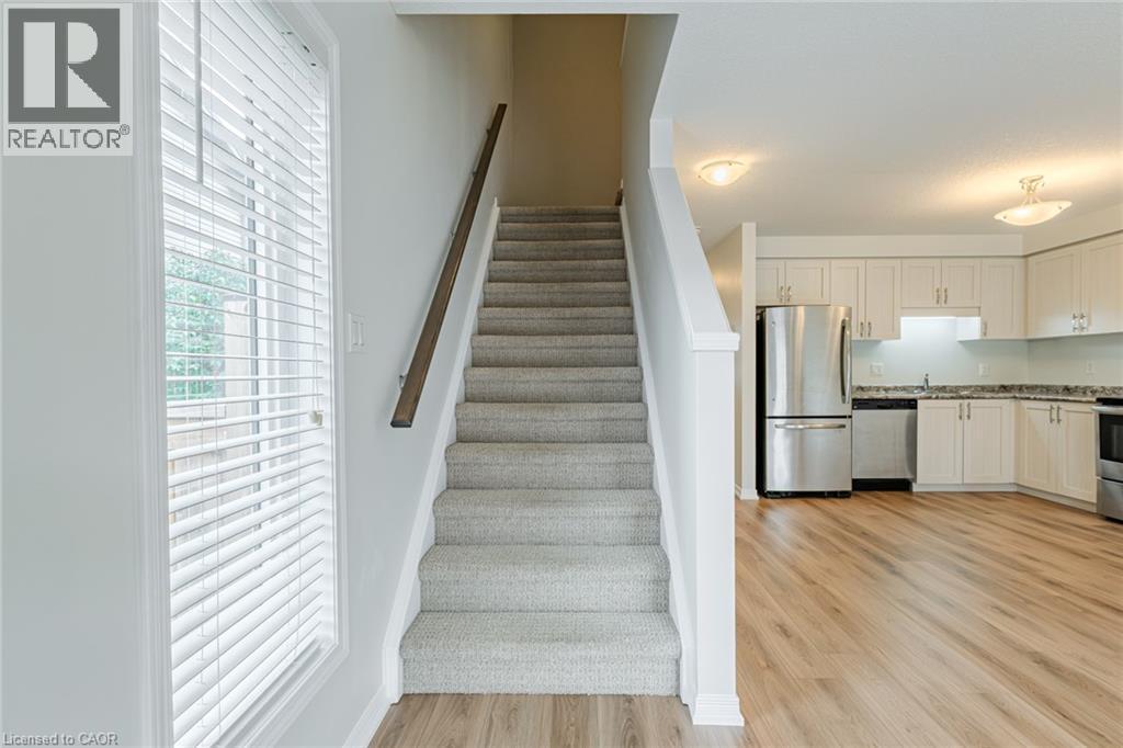 8 BASSWOOD Road - 15