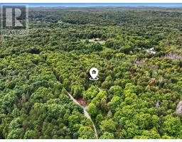 290 Wardens Road, Lanark Highlands, ON K0A1P0 Photo 16