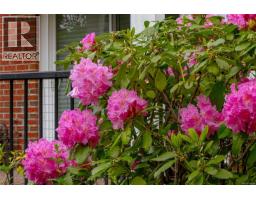406 4536 Viewmont Ave, Saanich, BC V8Z5L2 Photo 38