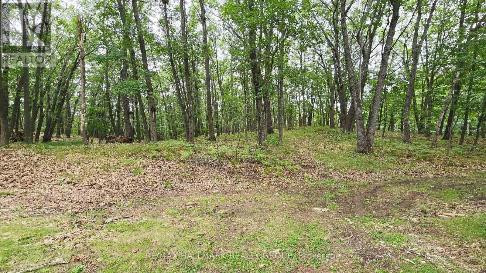 1153 BAYVIEW DRIVE - Image 6
