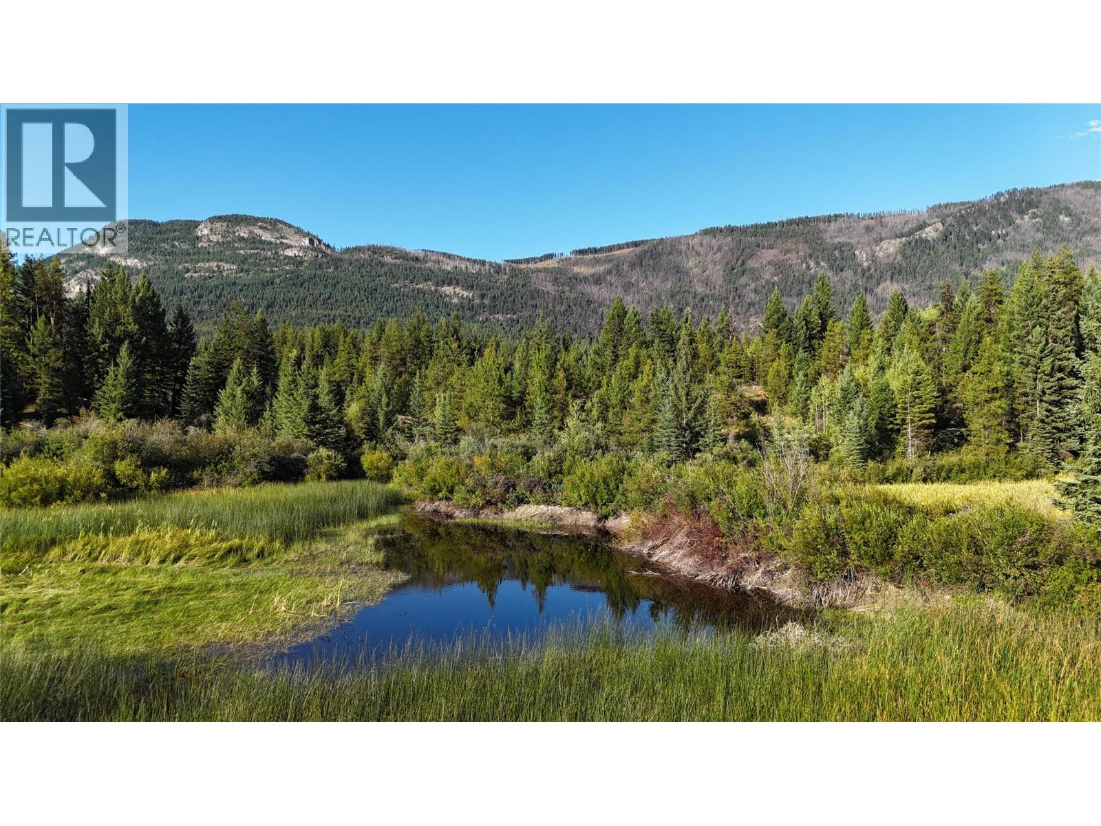 4265 Giant Mine Road, Spillimacheen, British Columbia, V0A1P0, Spillimacheen, British Columbia — photo 2 of 5