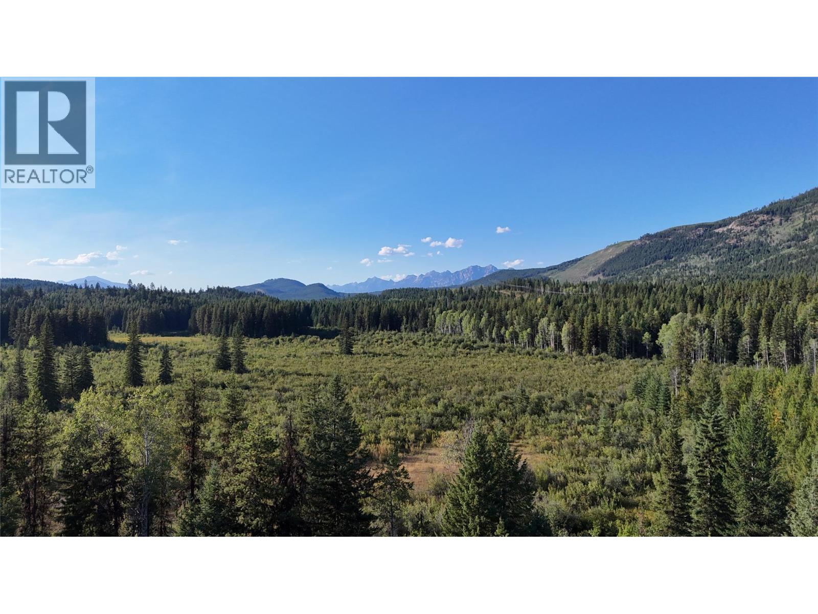 4265 Giant Mine Road, Spillimacheen, British Columbia, V0A1P0, Spillimacheen, British Columbia — photo 4 of 5