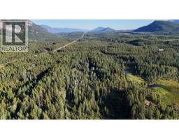 4265 Giant Mine Road, Spillimacheen, BC V0A1P0 Photo 13