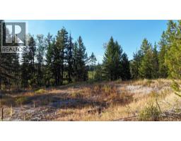 4265 Giant Mine Road, Spillimacheen, BC V0A1P0 Photo 16