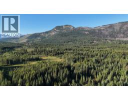 4265 Giant Mine Road, Spillimacheen, BC V0A1P0 Photo 19