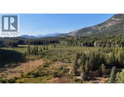 4265 Giant Mine Road, Spillimacheen, BC V0A1P0 Photo 39