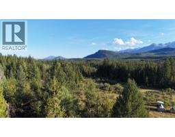 4265 Giant Mine Road, Spillimacheen, BC V0A1P0 Photo 6