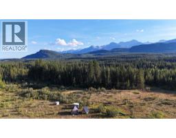 4265 Giant Mine Road, Spillimacheen, BC V0A1P0 Photo 7