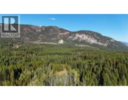 4265 Giant Mine Road, Spillimacheen, BC V0A1P0 Photo 9