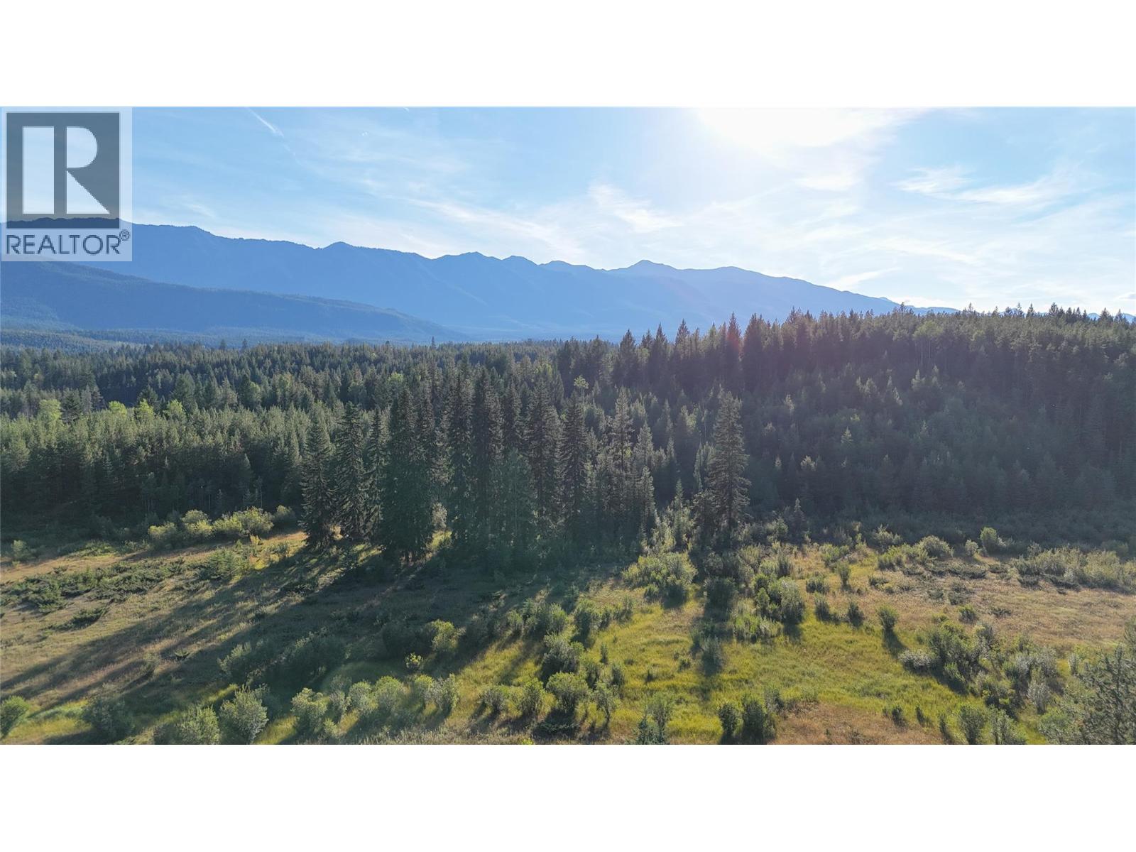 4265 Giant Mine Road, Spillimacheen, British Columbia, V0A1P0, Spillimacheen, British Columbia — photo 5 of 5