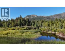 4265 Giant Mine Road, Spillimacheen, BC V0A1P0 Photo 15