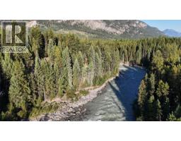 4265 Giant Mine Road, Spillimacheen, BC V0A1P0 Photo 22