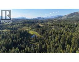 4265 Giant Mine Road, Spillimacheen, BC V0A1P0 Photo 25