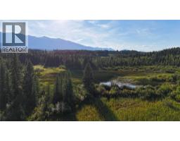 4265 Giant Mine Road, Spillimacheen, BC V0A1P0 Photo 31