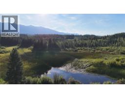 4265 Giant Mine Road, Spillimacheen, BC V0A1P0 Photo 32