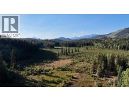4265 Giant Mine Road, Spillimacheen, BC V0A1P0 Photo 38
