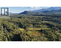 4265 Giant Mine Road, Spillimacheen, BC V0A1P0 Photo 12