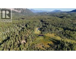 4265 Giant Mine Road, Spillimacheen, BC V0A1P0 Photo 14