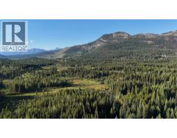 4265 Giant Mine Road, Spillimacheen, BC V0A1P0 Photo 18