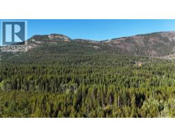 4265 Giant Mine Road, Spillimacheen, BC V0A1P0 Photo 10