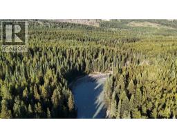 4265 Giant Mine Road, Spillimacheen, BC V0A1P0 Photo 20