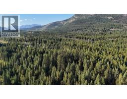 4265 Giant Mine Road, Spillimacheen, BC V0A1P0 Photo 24