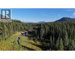 4265 Giant Mine Road, Spillimacheen, BC V0A1P0 Photo 34